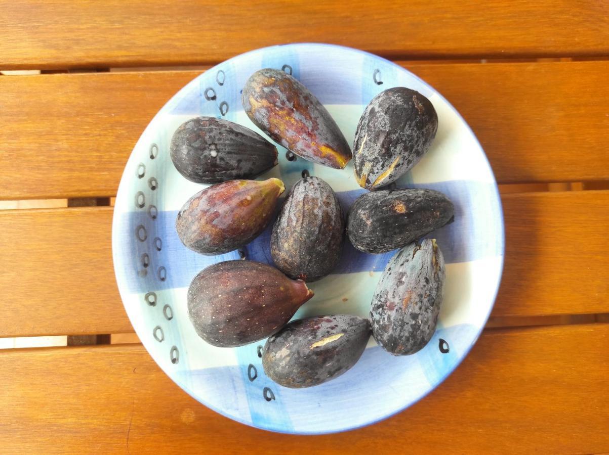 Casa De Los Pajaritos. 查德尔帕罗奥 外观 照片